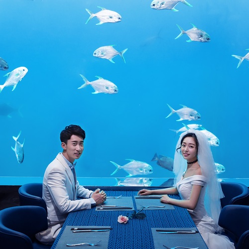 闪先生&丁女士
