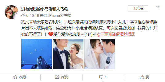 没有尾巴的小乌龟和大乌龟