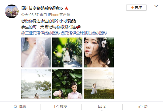 见过甘多猪都系你得意lo