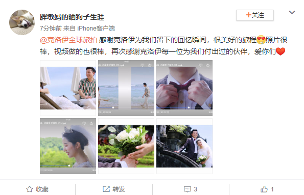 胖墩妈的晒狗子生涯