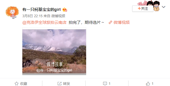 有一只柯基宝宝的girl