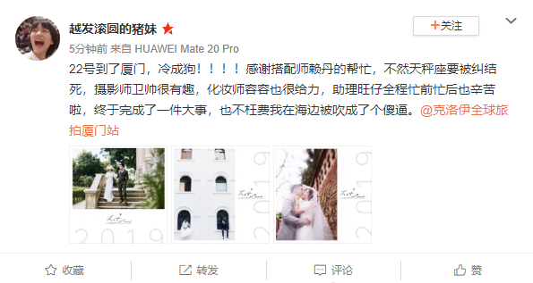 越发滚圆的猪妹