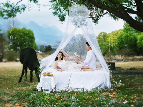 「煮茶赏花 拥抱自然」的婚纱照,才是真正的诗和远方
