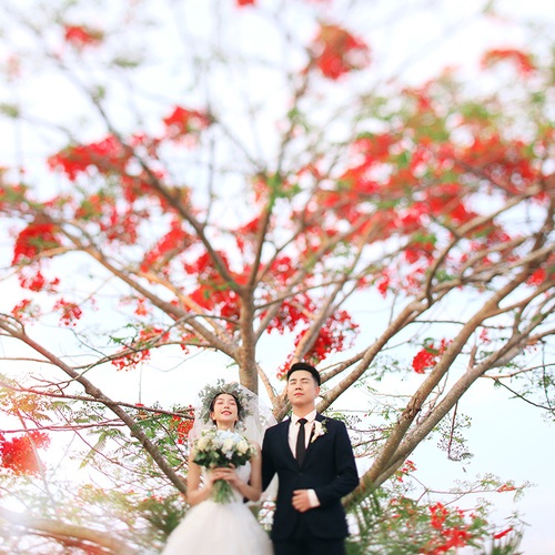 叶先生&曾女士