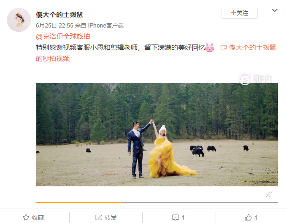 傻大个的土拨鼠