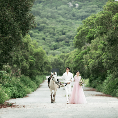 Girl Dreamed Of Roses