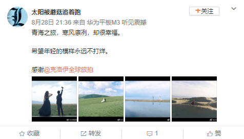 太阳被蘑菇追着跑