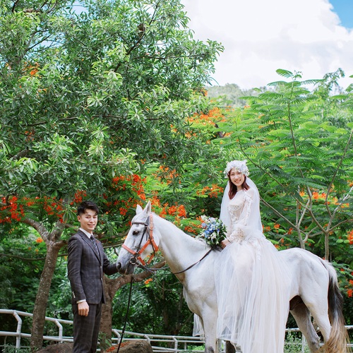 马先生&吴女士