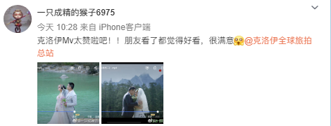 一只成精的猴子6975