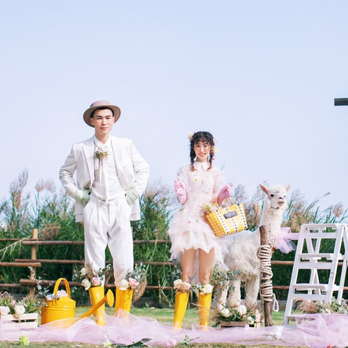 成先生&龙女士