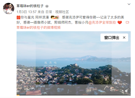 莓味er的铁柱子