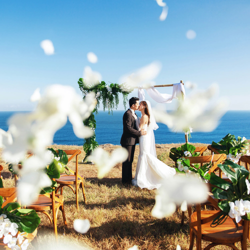 全球影展第五期