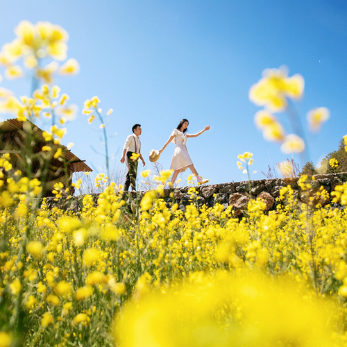 全球影展第二期