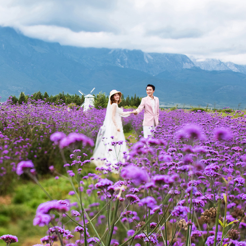 全球影展第四期