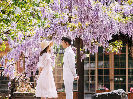 【揭秘克洛伊美学】四十六期 春日花季唯美婚纱照