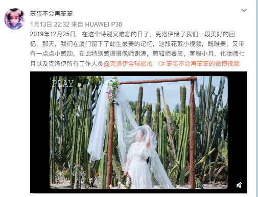 笨蛋不会再笨笨