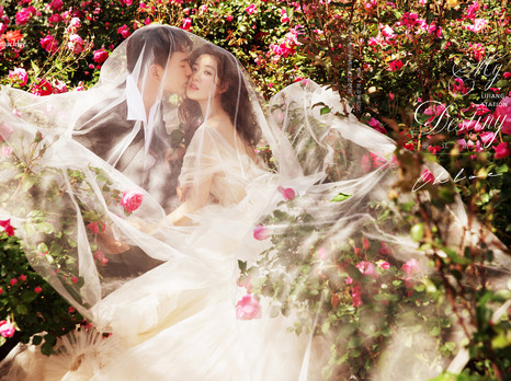 【揭秘克洛伊美学】八十期 丽江季节性花海浪漫婚纱照