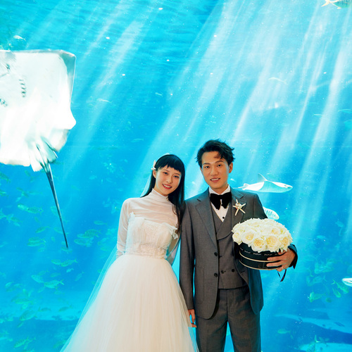 8月31日直播:张先生&孟女士