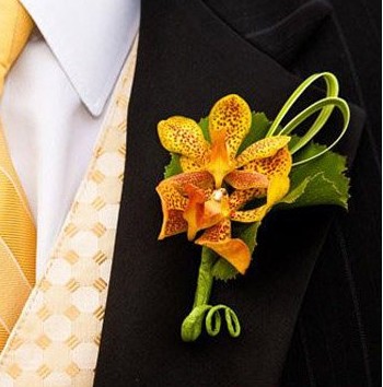 传统意义上,新郎胸花是新郎将手捧花送给新娘,然后从手捧花中摘下一朵