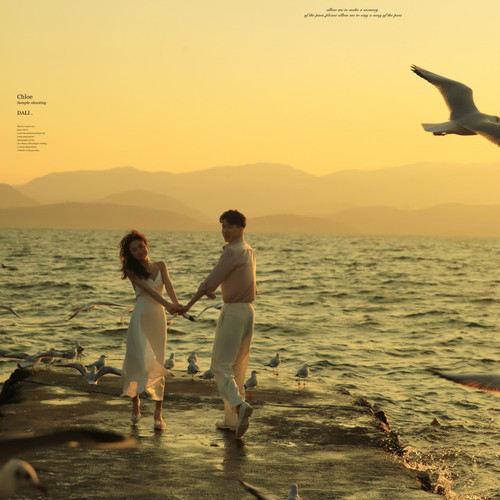 抖音达人:纯白夫妇