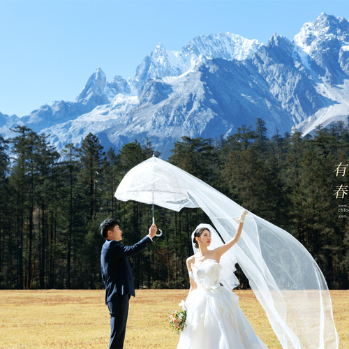 全球影展第八十一期