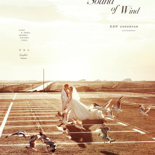 全球影展第七十四期