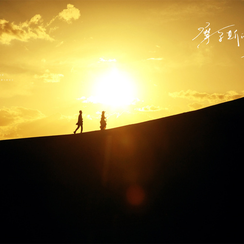 全球影展第六十八期