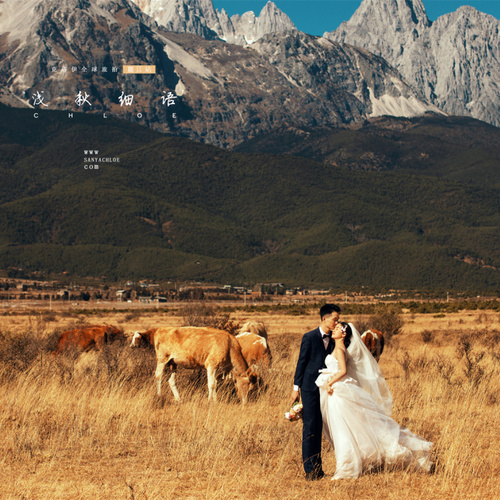 全球影展第五十二期