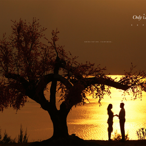 全球影展第五十五期