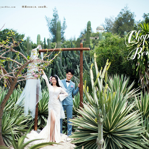 全球影展第三十一期