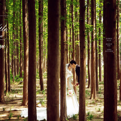 全球影展第三十五期