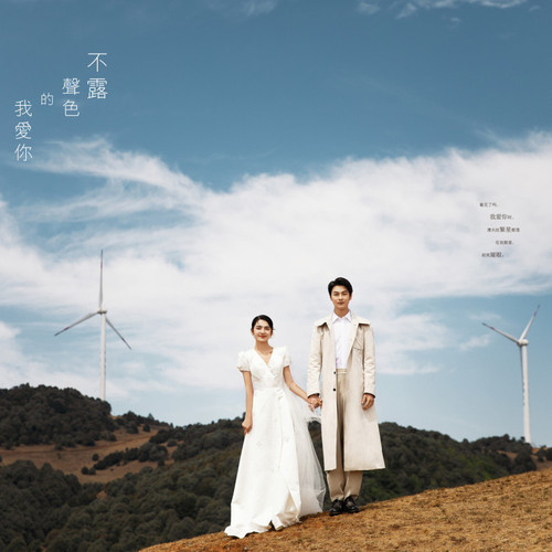 不露声色的我爱你