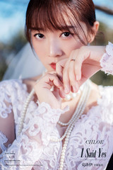 姜先生&張女士