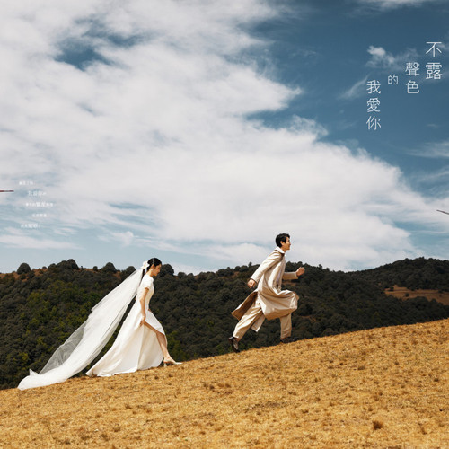 不露声色的我爱你