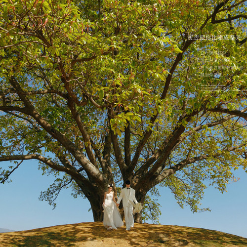 可否把你比喻成春天