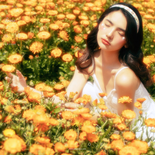 Girls&Poems少女与诗