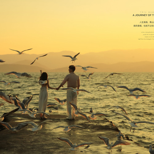 抖音达人:纯白夫妇