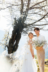 竇先生&吳女士