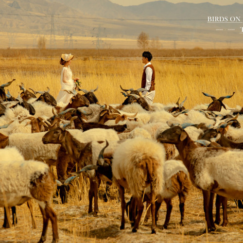 4月18日直播：王先生&李女士 