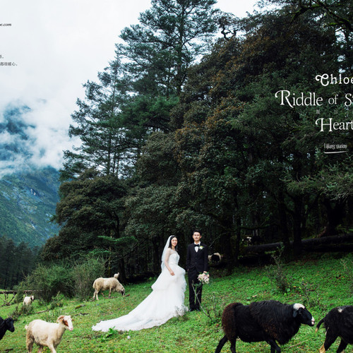 9月15日直播:陈先生&李女士