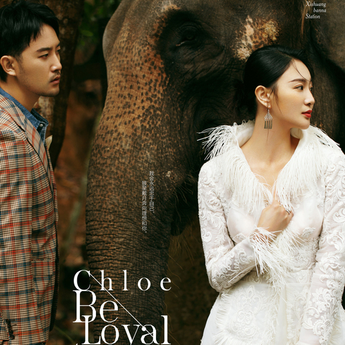 明星:毛毅&侯梦莎