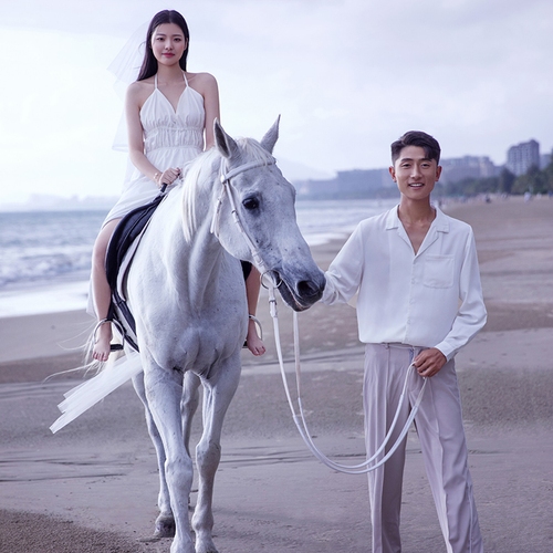 明先生&诗女士