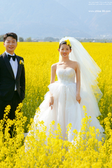 朱先生&李女士