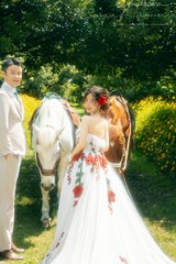陳先生&金女士