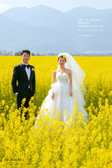 朱先生&李女士