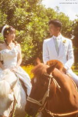 蘇先生&杜女士
