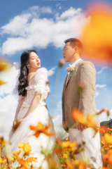 王先生&魏女士