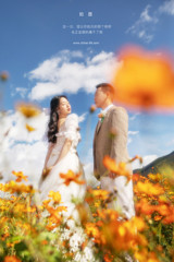 王先生&魏女士