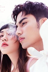 Li先生&法女士