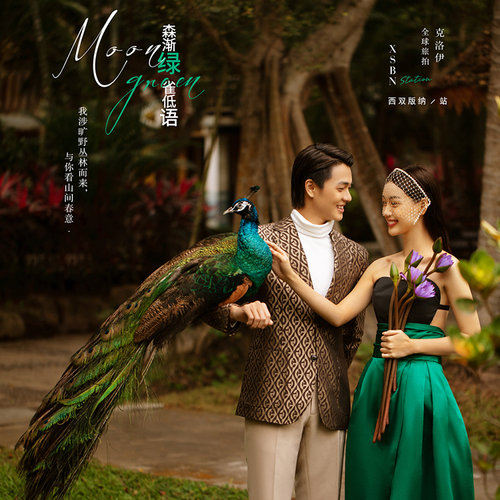 森渐绿，雀低语Moon Green